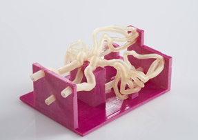 3D Printing Medical Model