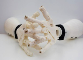 Artificial Limb